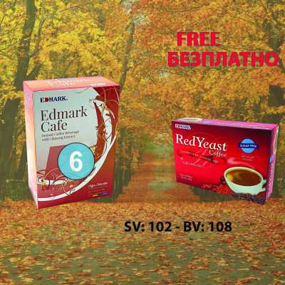 Promotion 6 Ginseng sugar free - Free 1 Red yeast sugar free